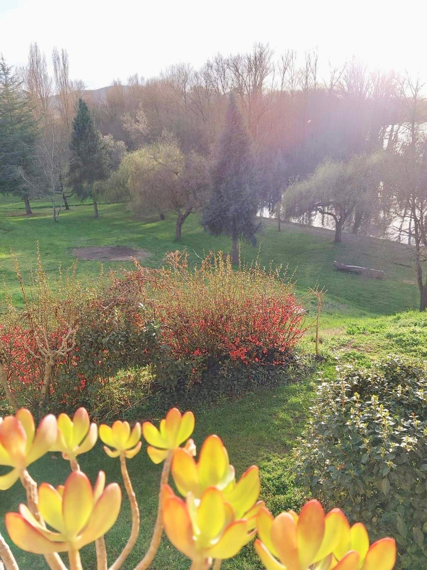 Beautiful Village House Next To Garonne River! Couladere Zewnętrze zdjęcie